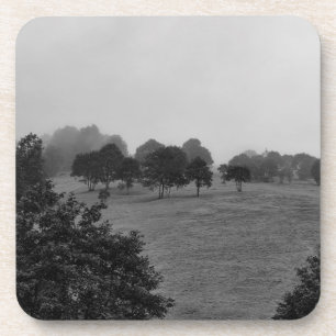 Dessous-de-verre De beaux arbres et la nature dans le brouillard