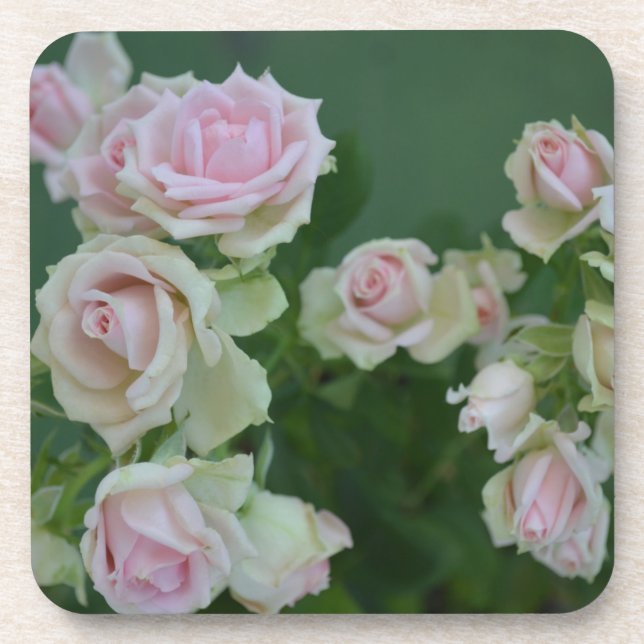 Dessous-de-verre De belles roses de jardin rose clair (Devant)
