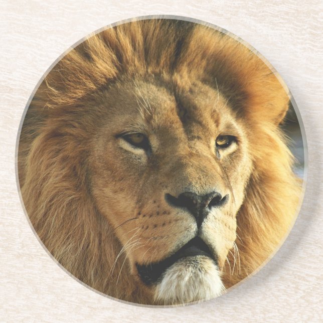 Dessous de verre de boissons de photo de lion (Devant)
