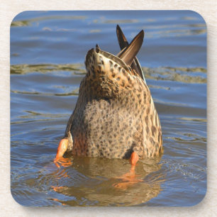 Dessous de verre de canard