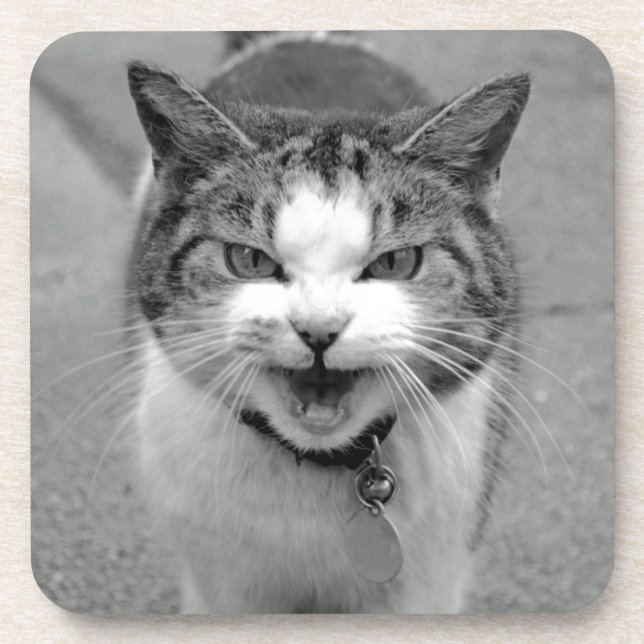 Dessous de verre de chat de crabe (Devant)