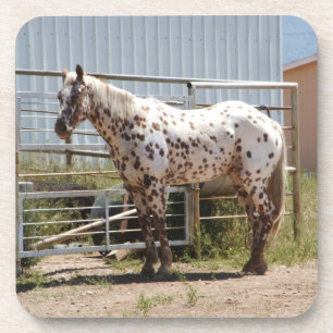 Dessous de verre de cheval d'appaloosa repérés par