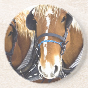 Dessous de verre de cheval de trait de Clydesdale
