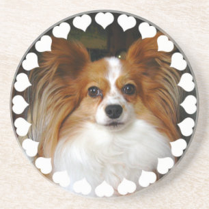 Dessous de verre de chien de Papillon