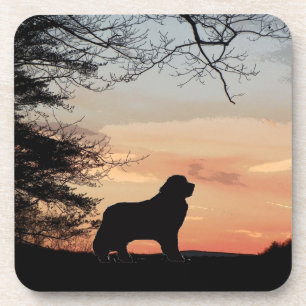 Dessous de verre de chien de Terre-Neuve