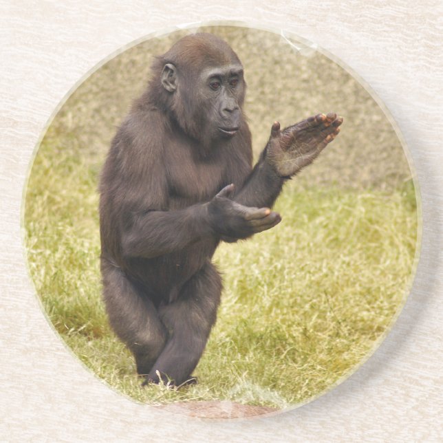 Dessous de verre de chimpanzé (Devant)
