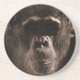 Dessous de verre de chimpanzé