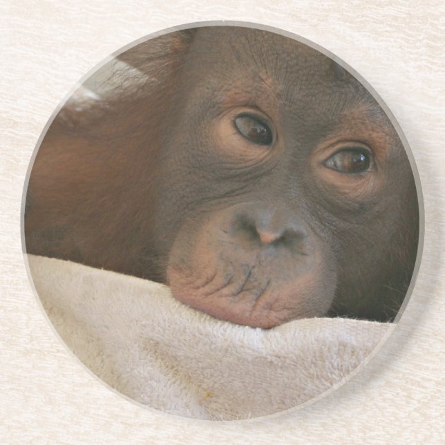 Dessous de verre de chimpanzé de bébé (Devant)