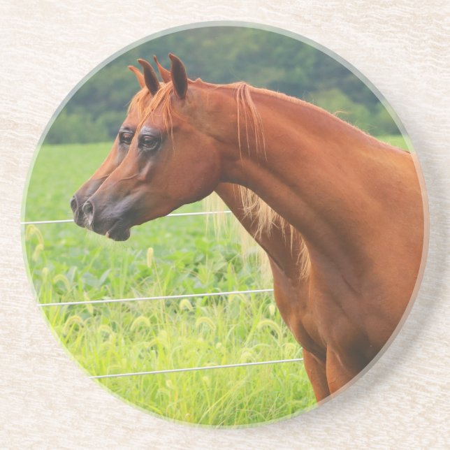 Dessous de verre de colts de la double image BOGO (Devant)