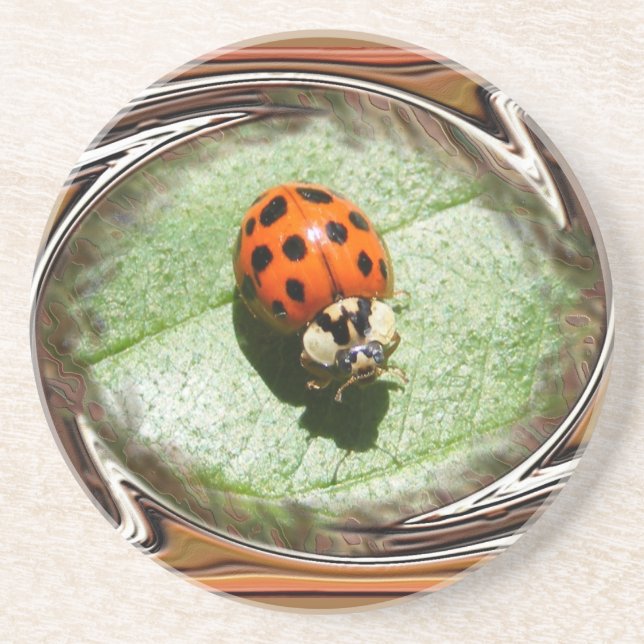 Dessous de verre de ~ de la coccinelle 187 (Devant)