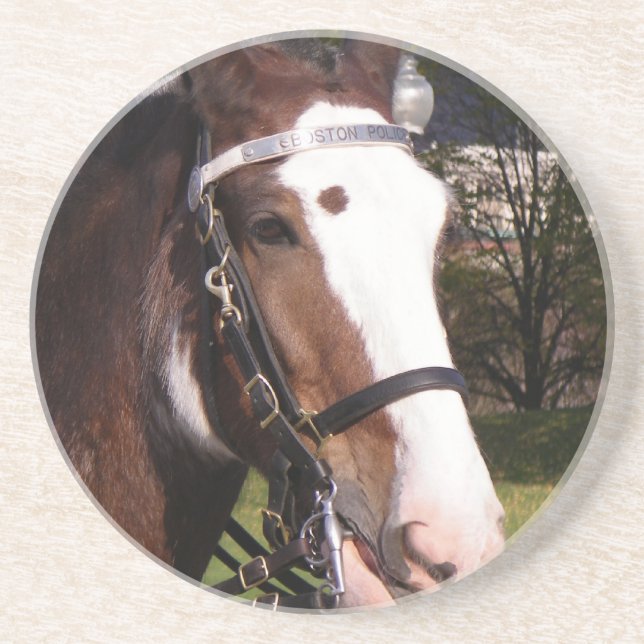 Dessous de verre de délivrance de cheval de trait (Devant)