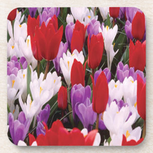 Dessous de verre de fleurs de tulipes colorées