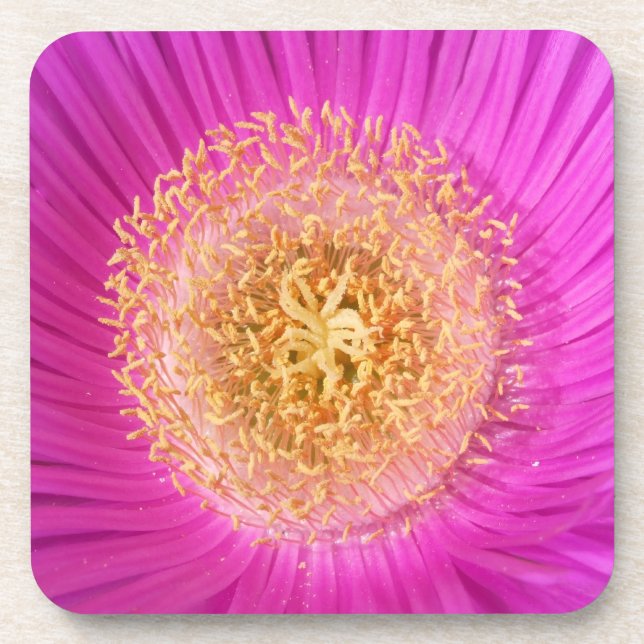 Dessous de verre de fleurs rose vif (Devant)