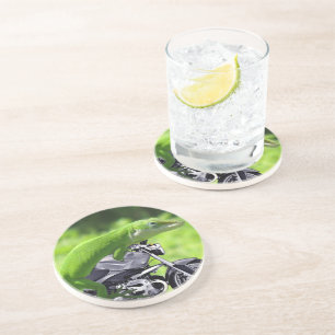 Dessous de verre de Gecko Hawaïen vert