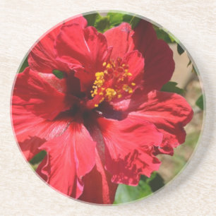 Dessous de verre de grès de l'Hibiscus rouge