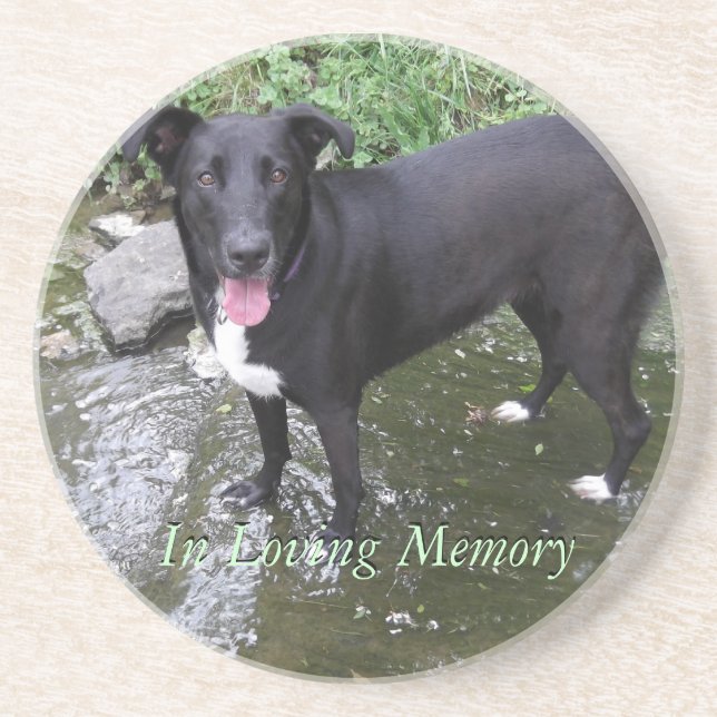 dessous de verre de grès de photo personnalisés (Devant)