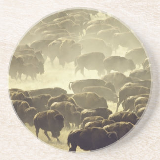 Dessous de verre de la revue Custer Buffalo