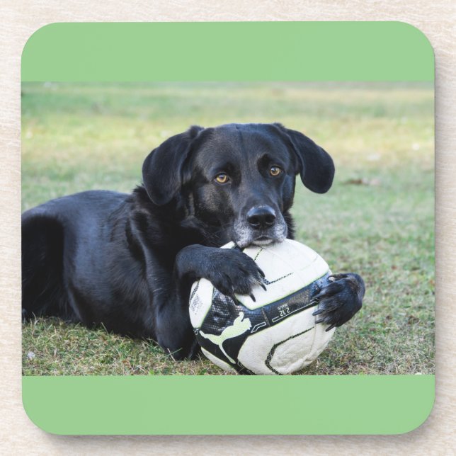 Dessous de verre de laboratoire noirs. Ensemble de (Devant)