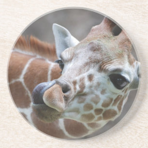 Dessous de verre de langue de girafe