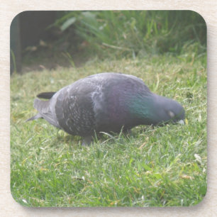 Dessous de verre de liège à pigeon dormant