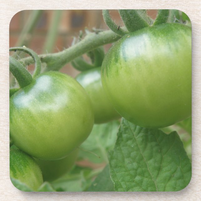 Dessous de verre de liège aux tomates vertes (Devant)