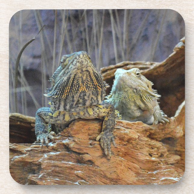 Dessous de verre de liège avec deux lézards curieu (Devant)