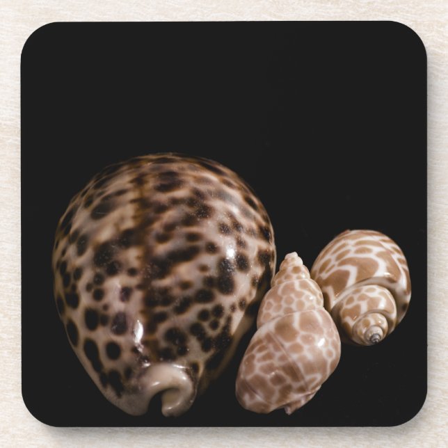Dessous de verre de liège Cowrie Cones (Devant)