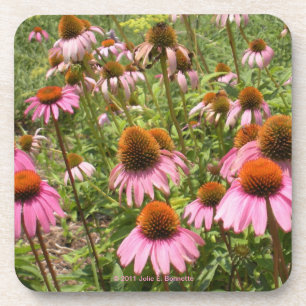 Dessous de verre de liège de Coneflowers