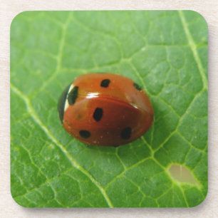 Dessous de verre de liège de Ladybug