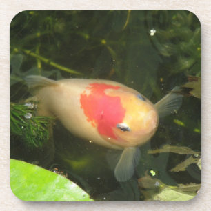 Dessous de verre de liège de poisson d'or