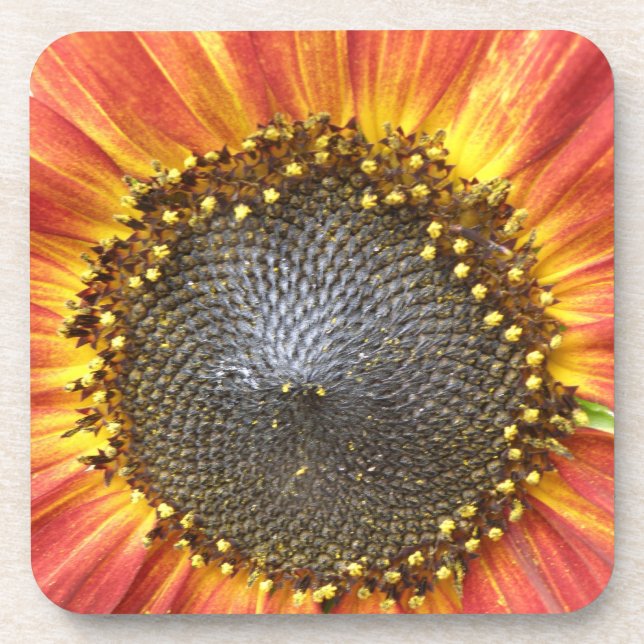 Dessous de verre de liège de tournesol rouge et ja (Devant)