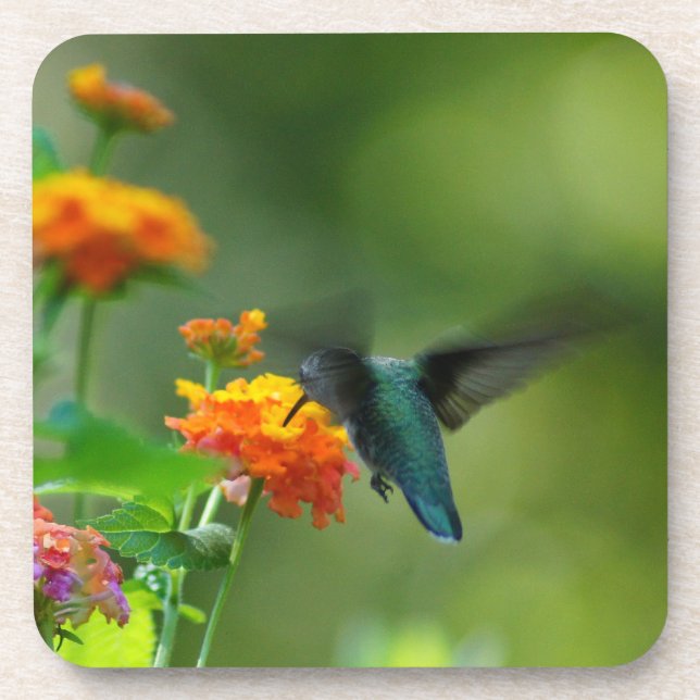 Dessous de verre de liège d'été Hummer (Devant)