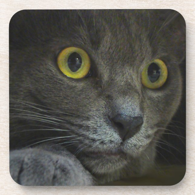 Dessous de verre de liège d'intensité (Devant)