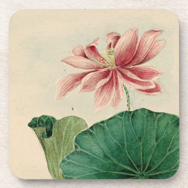 Dessous de verre de liège en fleurs de Lotus (Devant)