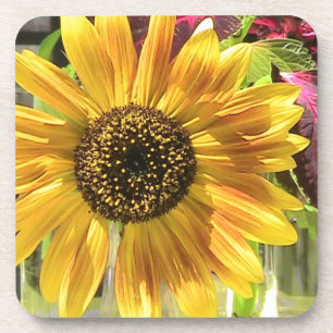 Dessous de verre de liège pétal de tournesol