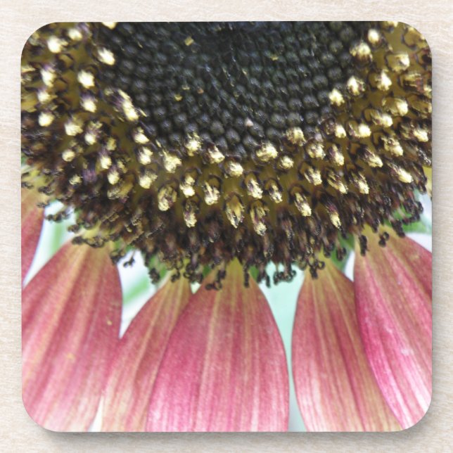 Dessous de verre de liège rose tournesol (Devant)
