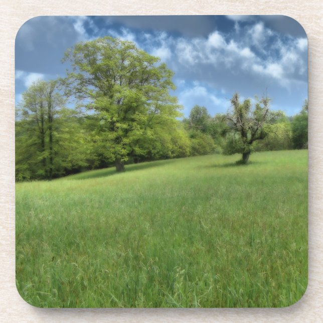 Dessous de verre de liège vert des Appalaches (Devant)