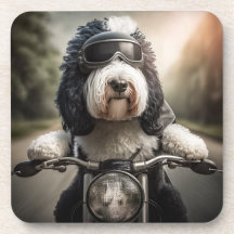 Dessous de verre de motocycliste Sheepadoodle