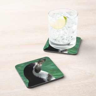 Dessous de verre de pingouin
