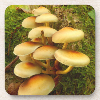 Dessous de verre de plastique de champignon de