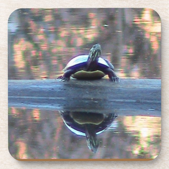 Dessous de verre de réflexion de tortue d'étang (Devant)