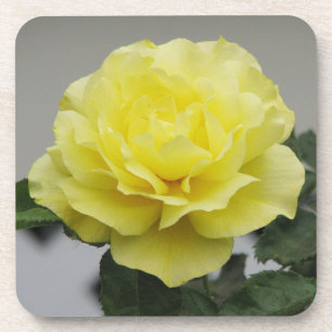 Dessous de verre de rose jaune