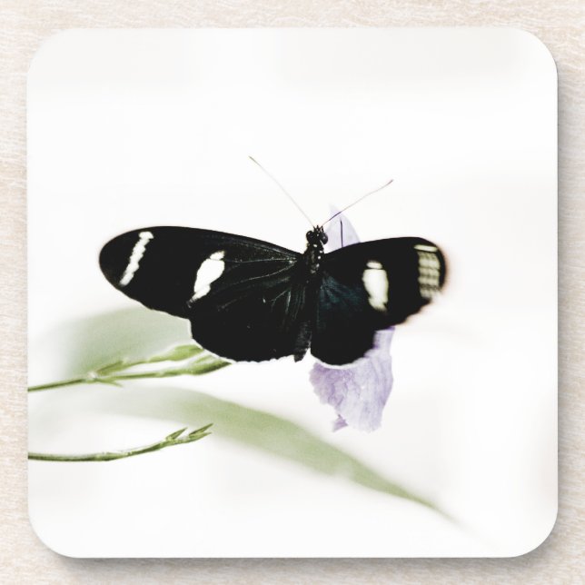 Dessous de verre de Sara Cork (Devant)