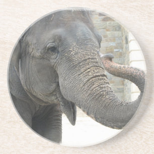 Dessous de verre de son de la trompette d'éléphant