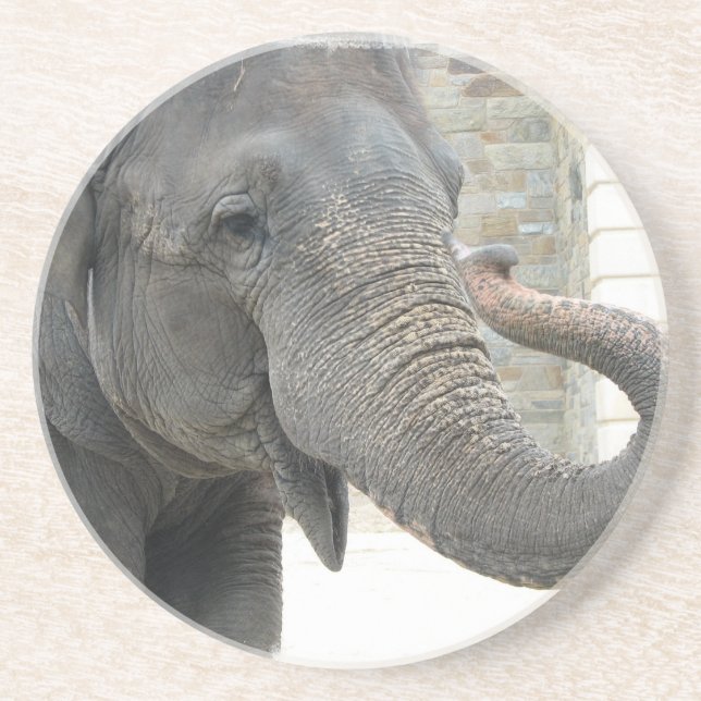 Dessous de verre de son de la trompette d'éléphant (Devant)