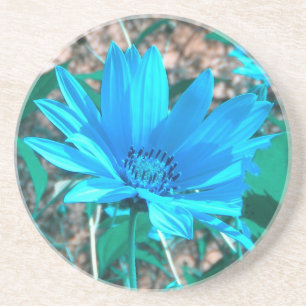 Dessous de verre de tournesol bleu sauvage