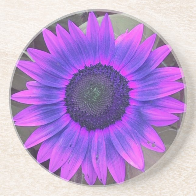 Dessous de verre de tournesol rose N violet (Devant)