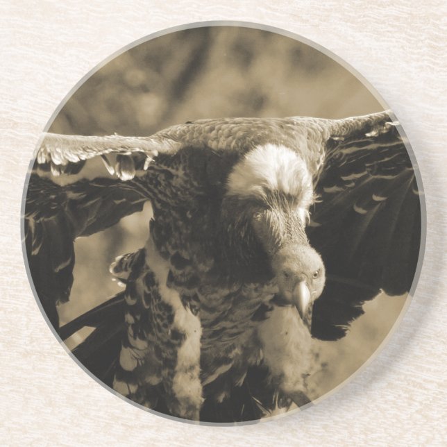 Dessous de verre de vautour (Devant)