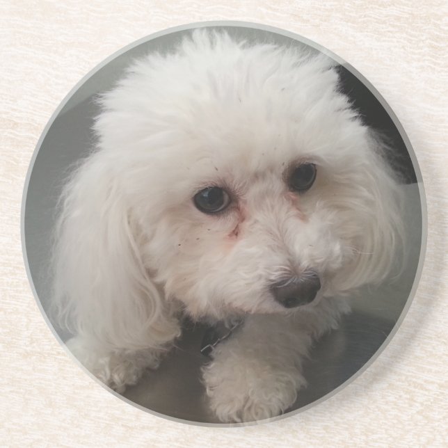 dessous de verre de Zoe (Devant)