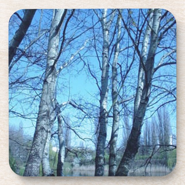 Dessous-de-verre début du printemps (Devant)